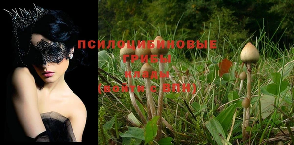 дмт Белокуриха