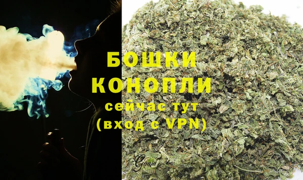 дмт Белокуриха