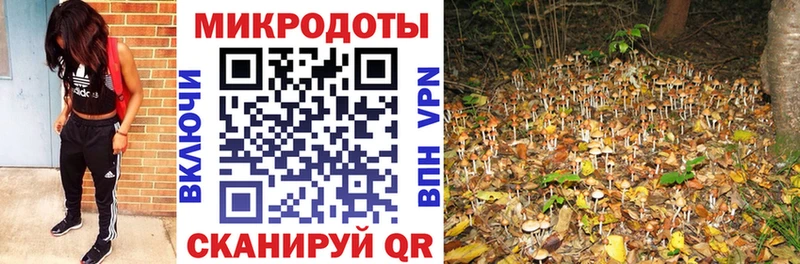 Галлюциногенные грибы Magic Shrooms  где купить   Кинель 