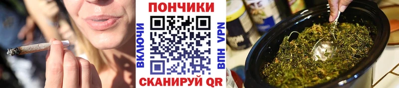 Бошки марихуана OG Kush  магазин  наркотиков  MEGA вход  Кинель 